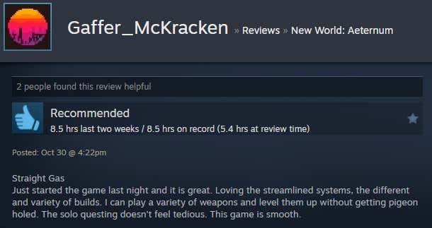 Image of the article titled New World: Eternal, as described in a Steam review